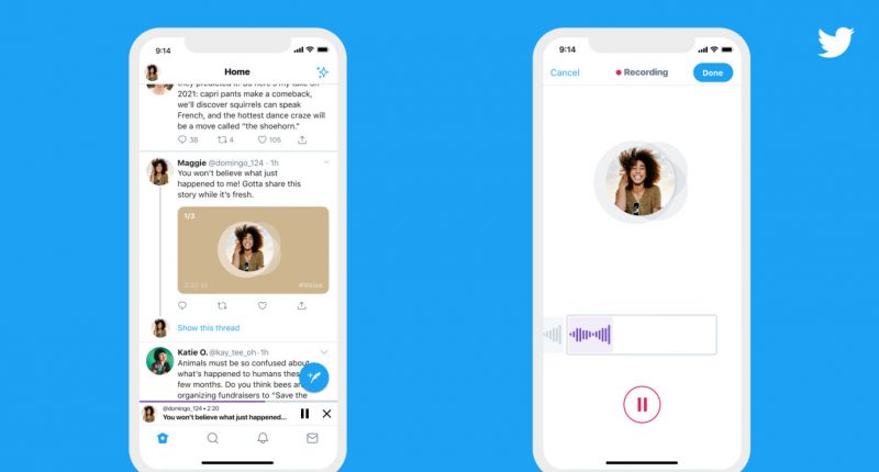 download twitter video with audio