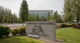 EA