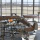 AirCraft-Construction-Image