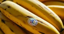 google nano banana