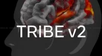 Meta TRIBE v2