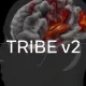 Meta TRIBE v2